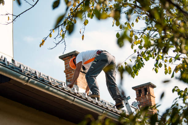 Best Storm Damage Roof Repair  in Budd Lake, NJ