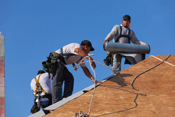 Best Metal Roofing Contractor  in Budd Lake, NJ